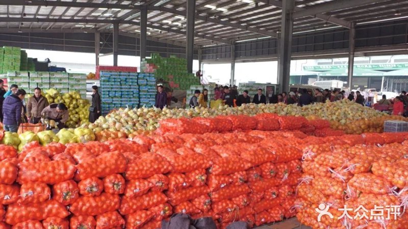 农产品A股股东户数为何增加?——行业趋势与市场洞察